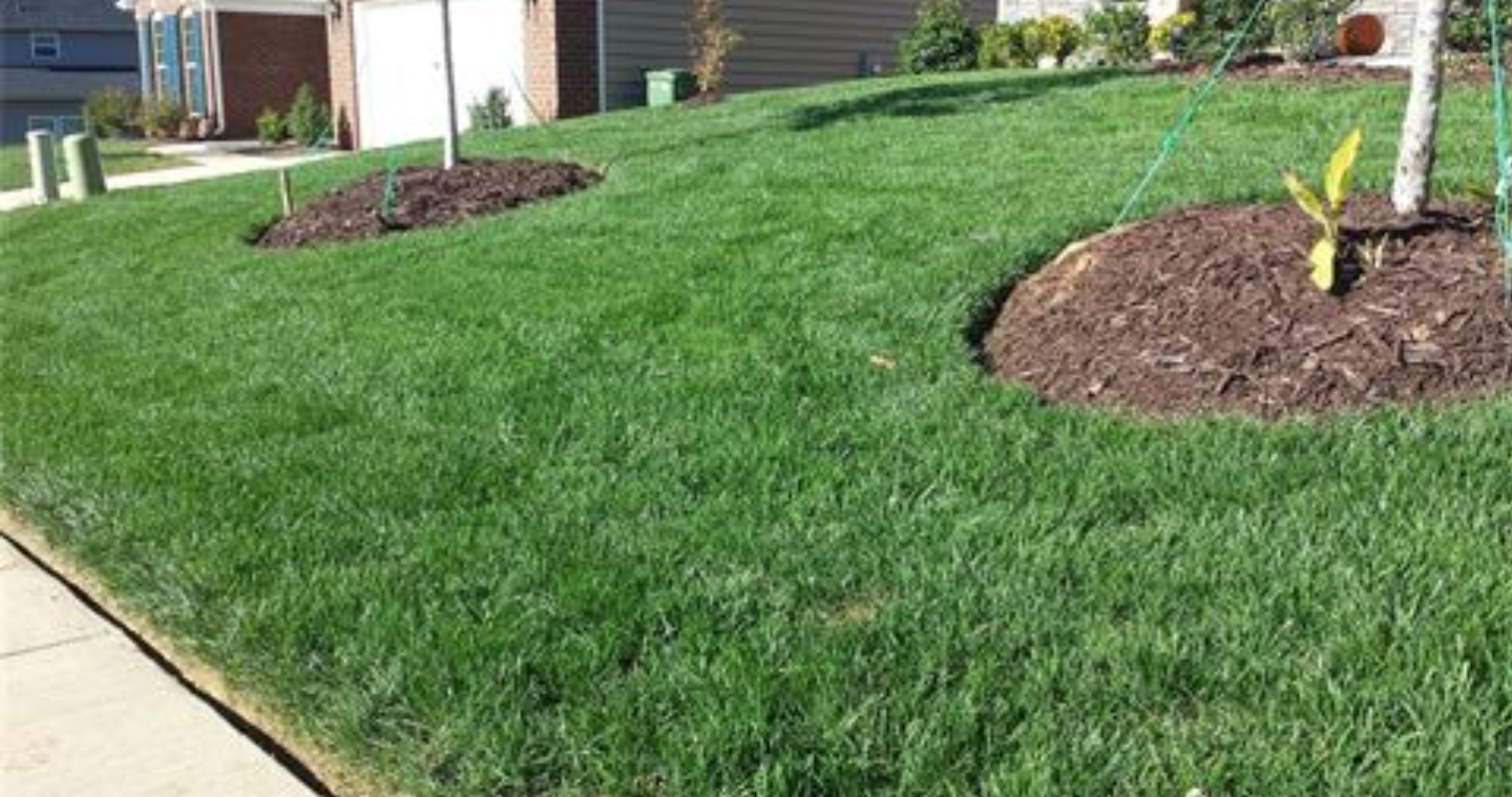 Greensboro Greene Lawn Care