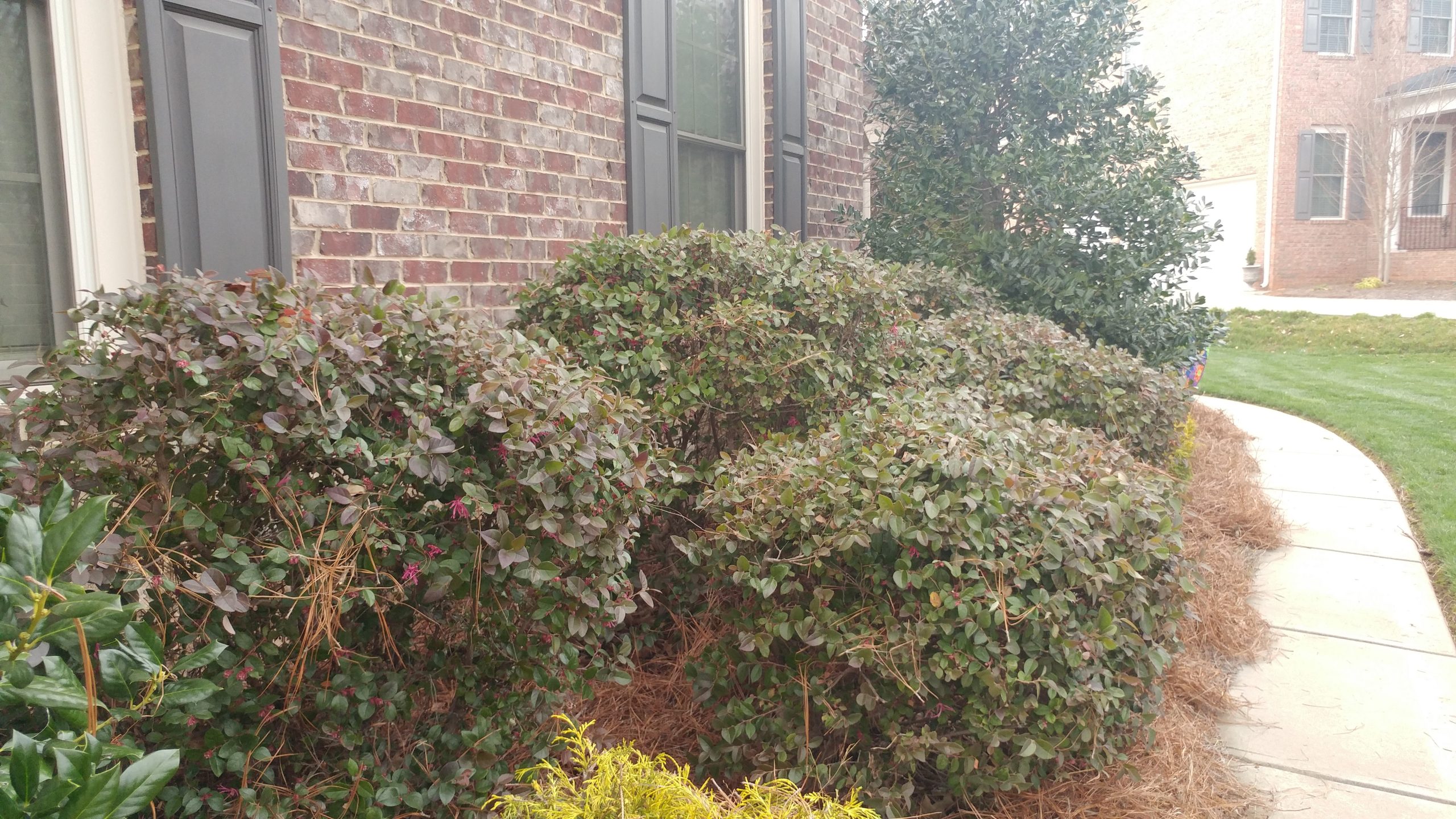 Greensboro Greene Lawn Care
