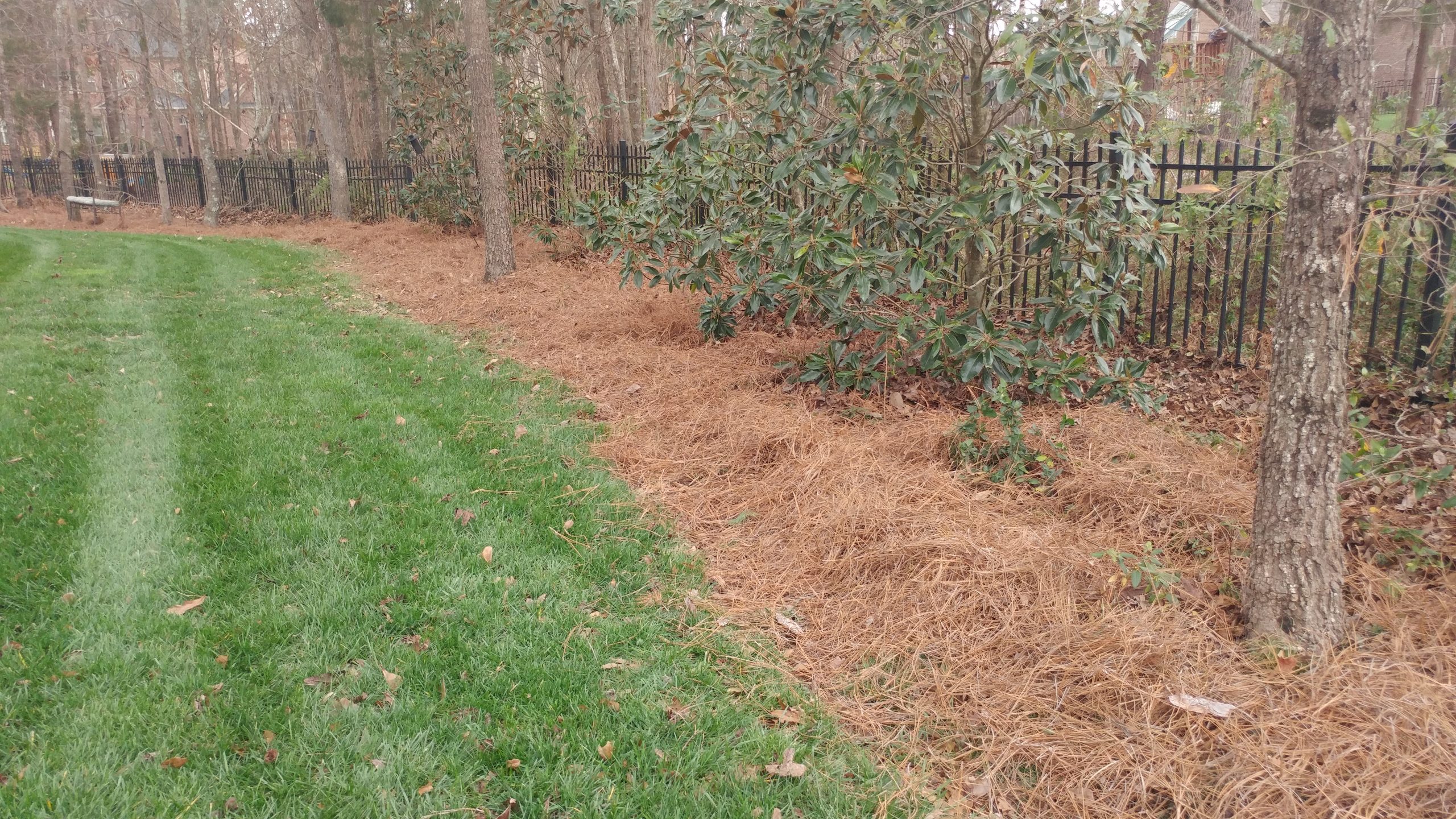 Greensboro Greene Lawn Care