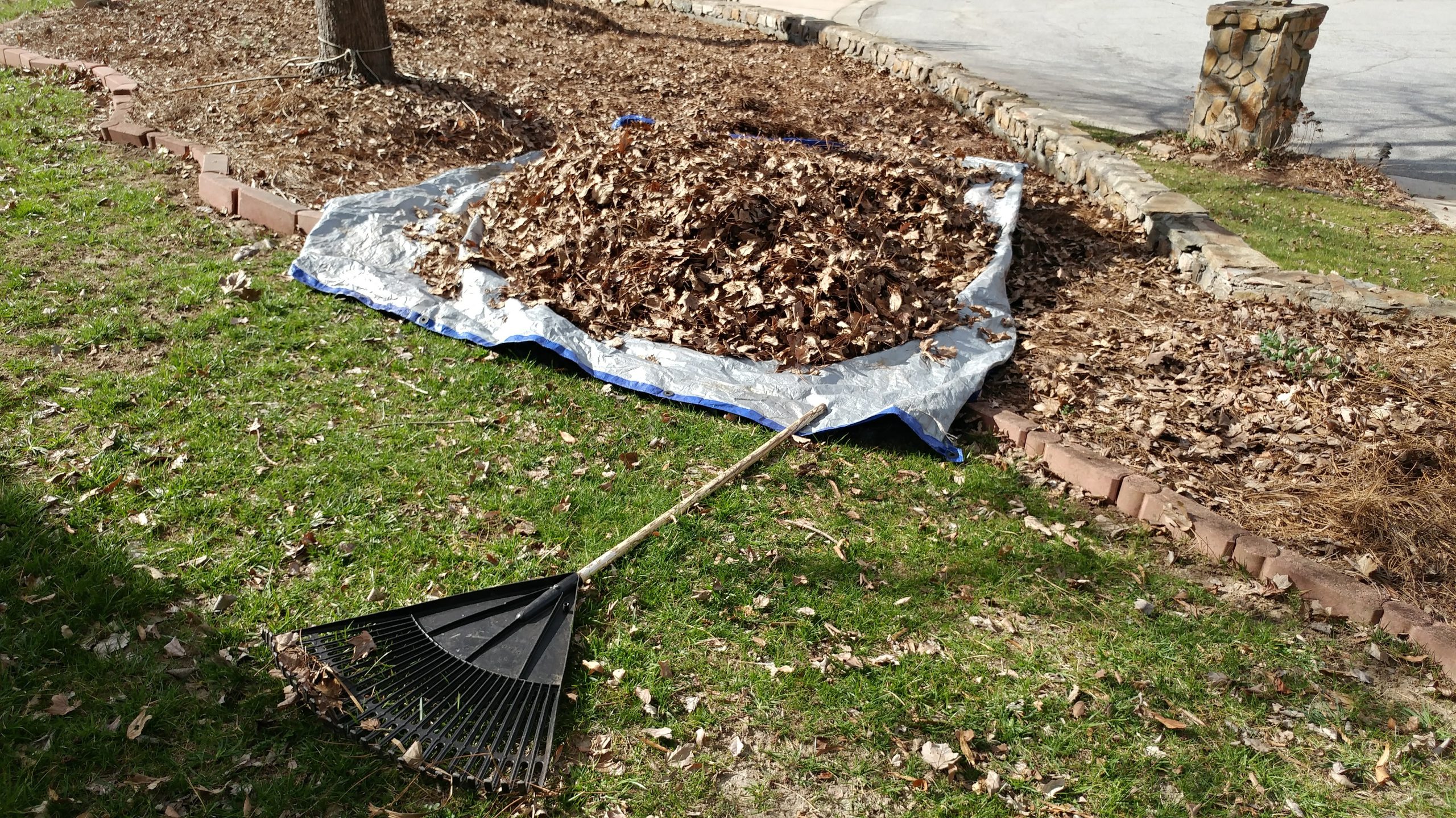 Greensboro Greene Lawn Care